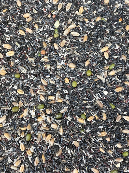 European Germination/Soak seed mix 1kg/2.2lbs