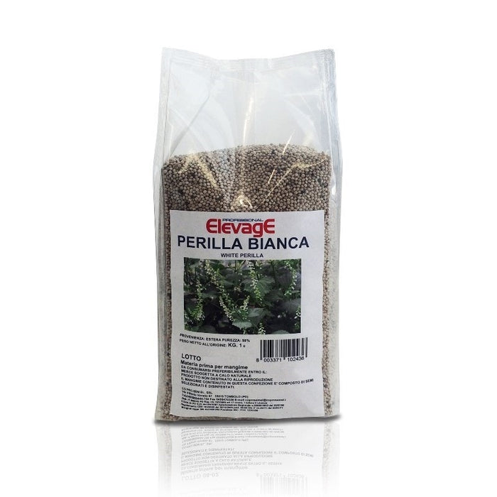 Elevage -white perilla 1kg/2.2lbs