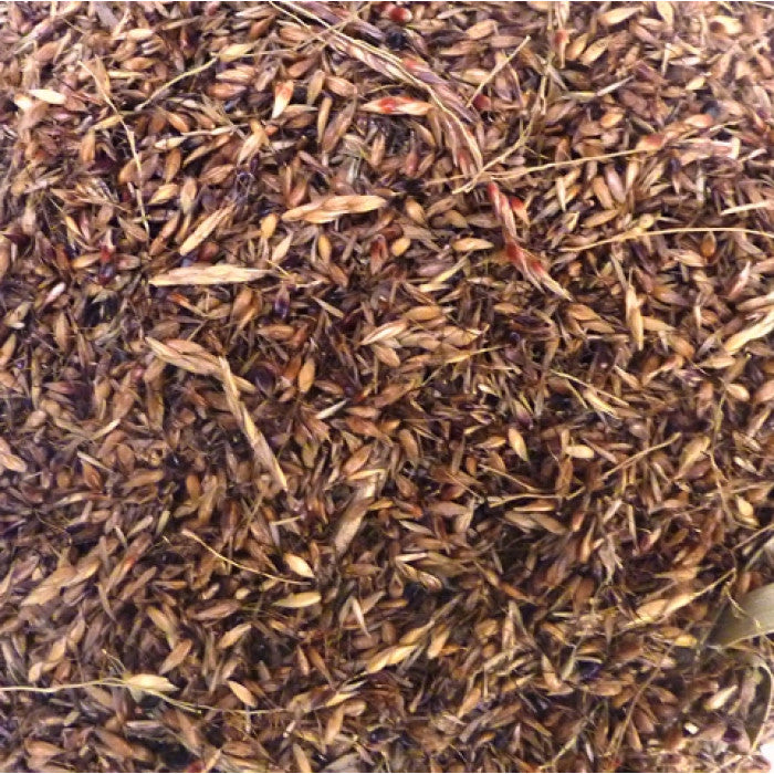 Delicha Seeds 750gr