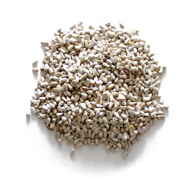 Safflower Seed