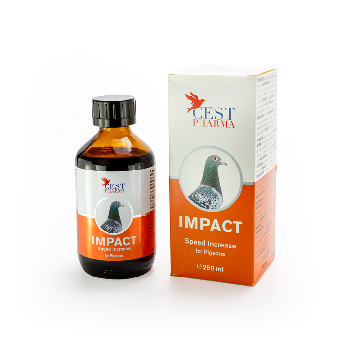 IMPACT 250ml