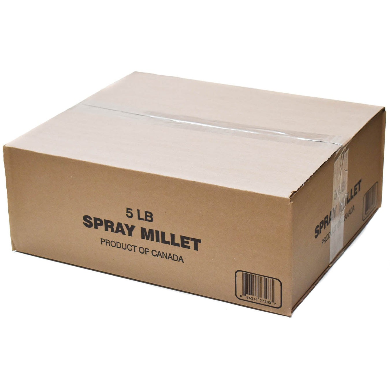 Spray Millet