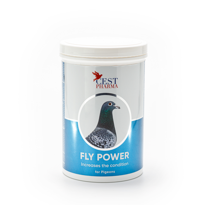 FLY POWER 600gr