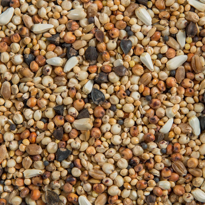 Dove seedmix 40lbs