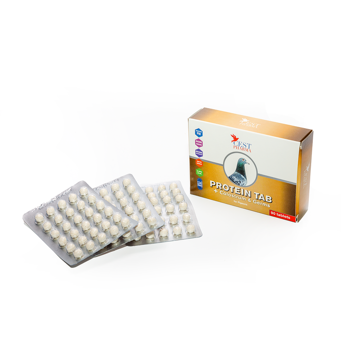 PROTEIN TAB 90 tablets