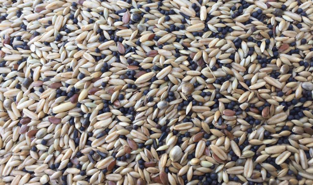 ELEVAGE CANARY SEEDMIX 20KG/44lbs