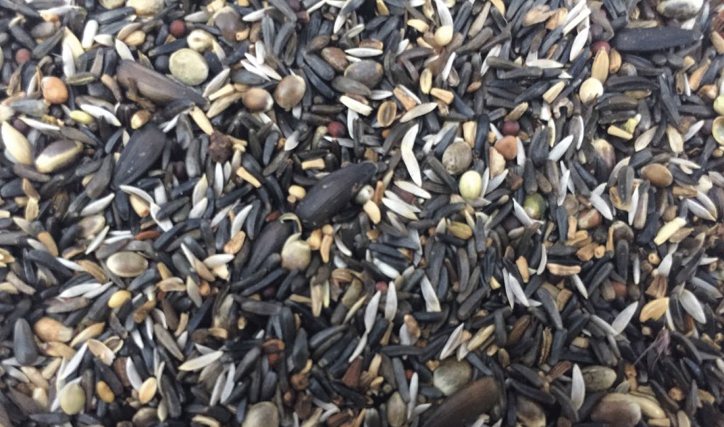 Euro Germination mix for Goldfinches & Siskins 2lbs