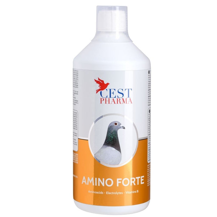 AMINO FORTE 1Litre