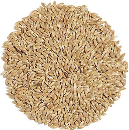 Canary seeds plain 3lbs