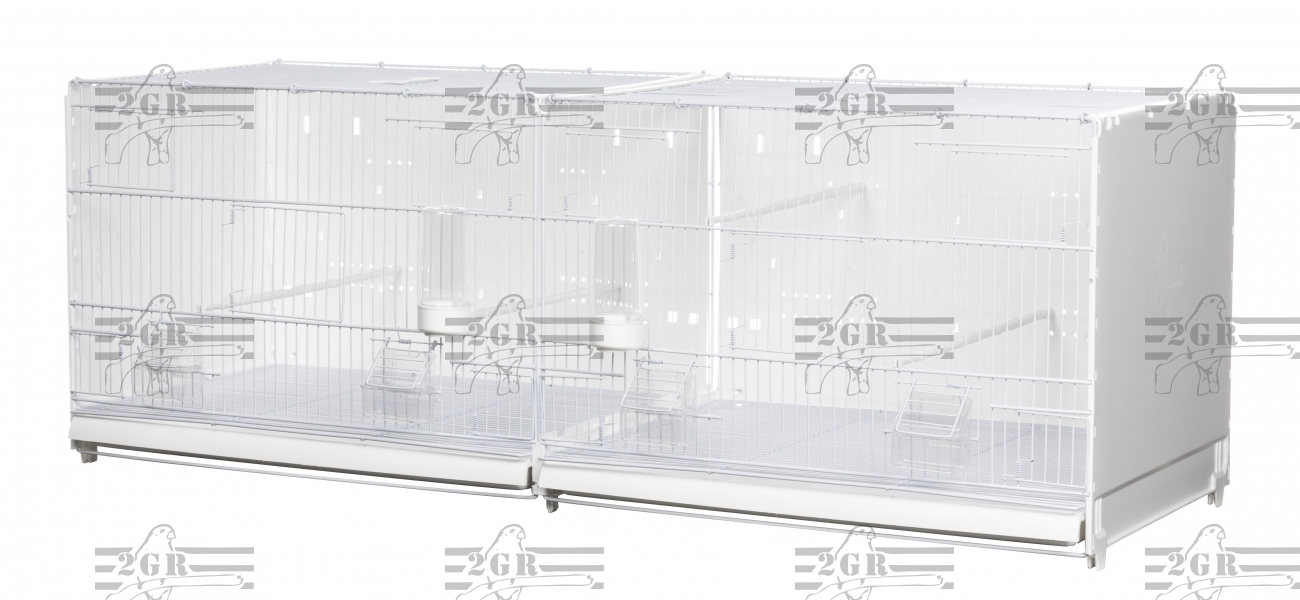 Italian Breeding Cage with Divider