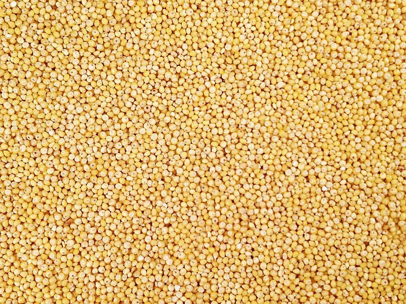 White millet 3lbs