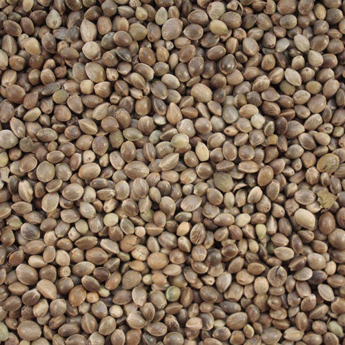 Unsterilized hemp seeds 3lbs