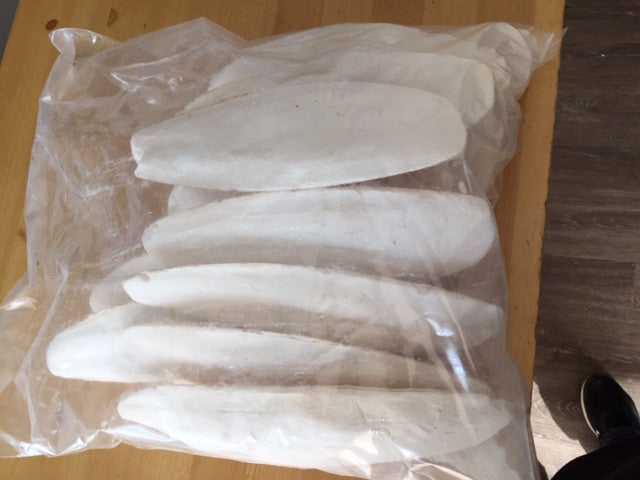 Cuttlebone 25cm Bulk Pack